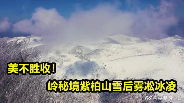 巨野公安开展打击整治网络谣言专项宣传活动