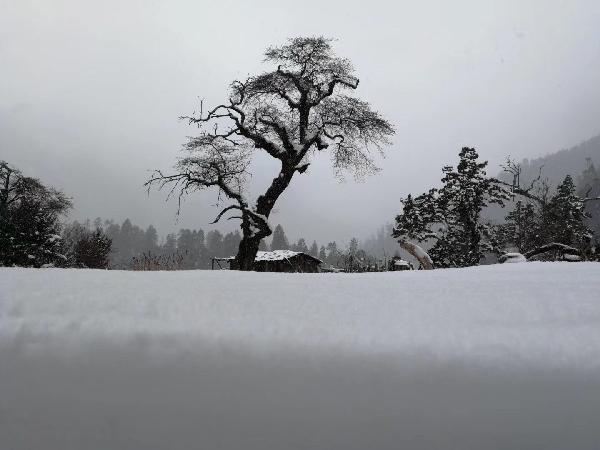 民生关注｜打造高水平区域医疗中心
