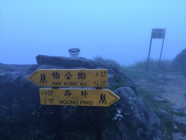 唯一的幸存者