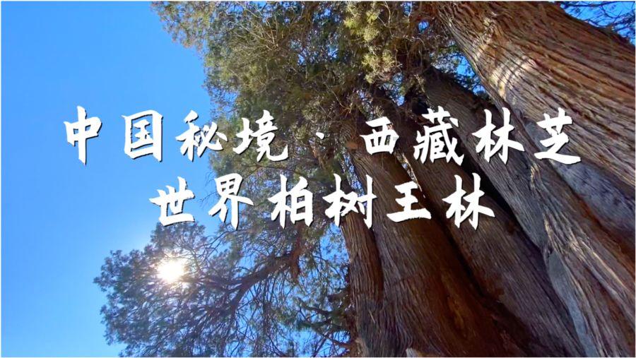 牛奶钙片不如“它”!每天饭前1碗汤,常喝补肾养血、降低血压!
